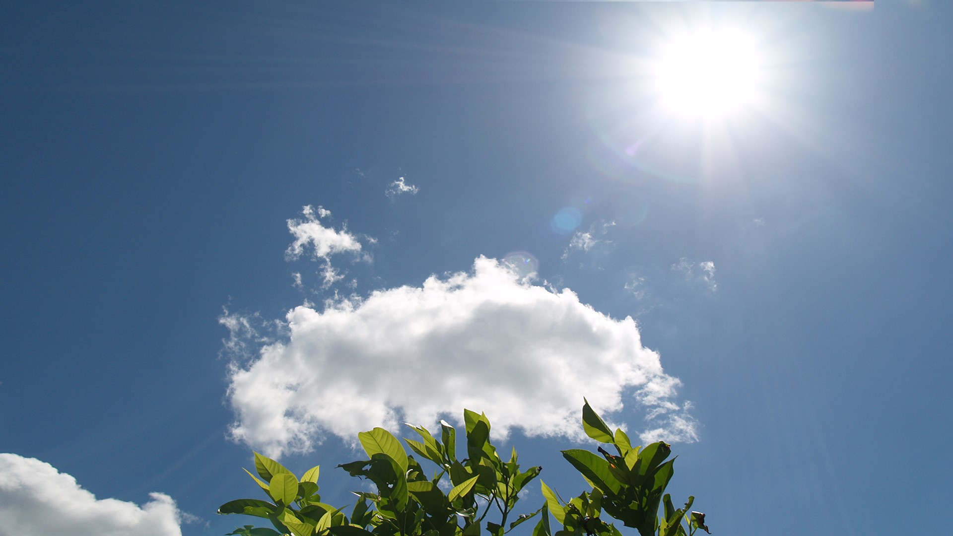 光導(dǎo)照明與電能照明主要的區(qū)別是什么？