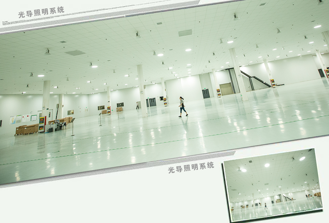 一份來源于自然的禮物——生活需要陽光、需要